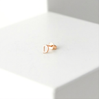 Initial Earrings